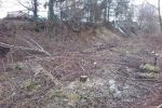 Rozpoczęła się wycinka drzew pod budowę „Żelaznego szlaku rowerowego”, Patryk Nowak