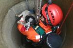 Strażacy ratowali psa uwięzionego w studni, 