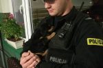 Policjanci uratowali szczeniaka przed zamarznięciem, KMP w Jastrzębiu-Zdroju