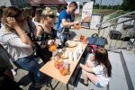 Festiwal kulinarny w ZS nr 2, UM Jastrzębie-Zdrój