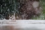 Jutro załamanie pogody w województwie: przymrozki, śnieg i burze, pixabay