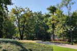 Park Zdrojowy: zakończyły się prace pielęgnacyjne 300 drzew, 