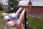 Zimą zadbajmy o ptaki, UM Jastrzębie-Zdrój