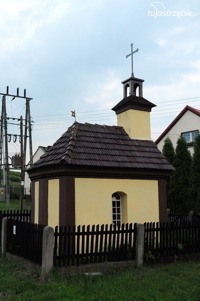 Niszczejąca kapliczka św. Jana Nepomucena w Moszczenicy, Jerzy Lis