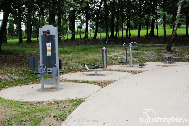 Park Żeromskiego po remoncie, Patrycja Wróblewska-Wojda