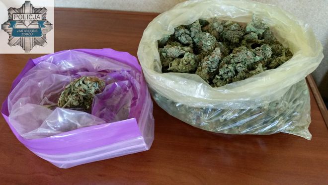 21-letni diler handlował marihuaną z Czech. Najbliższe 10 lat może spędzić w więzieniu, KMP w Jastrzębiu-Zdroju