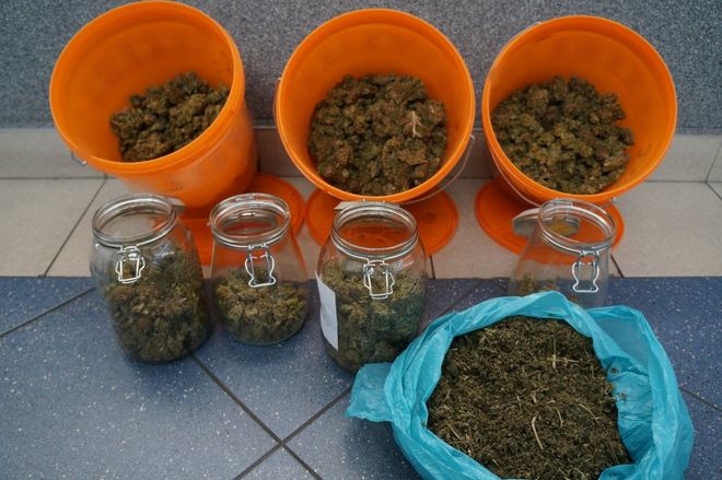 Jastrzębianin w garażu miał profesjonalną linię produkcyjną marihuany, KMP w Jastrzębiu-Zdroju